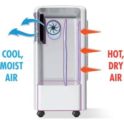 Bennett Read 3-In-1 Air Cooler with Remote Control (11L) Picture 2