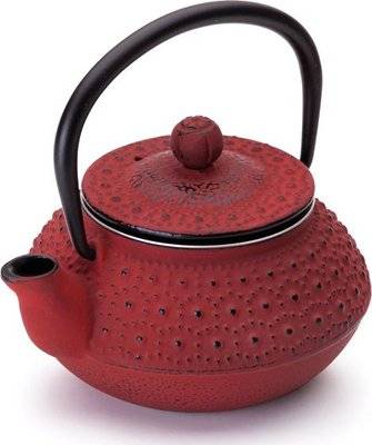Ibili Oriental Cast Iron Tetsubin Teapot with Infuser - Hanoi (300ml)