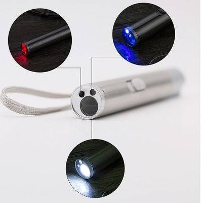 Multi-functional 3 in 1 Pet and Presentation Laser - Rechargeable (USB)
