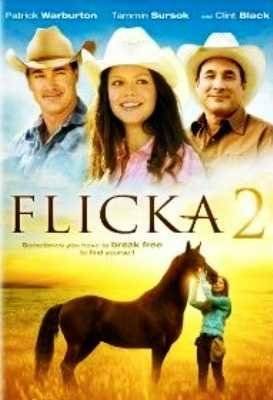 Flicka 2 (DVD)