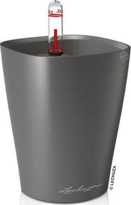 Lechuza Mini Deltini (Charcoal) - Charcoal