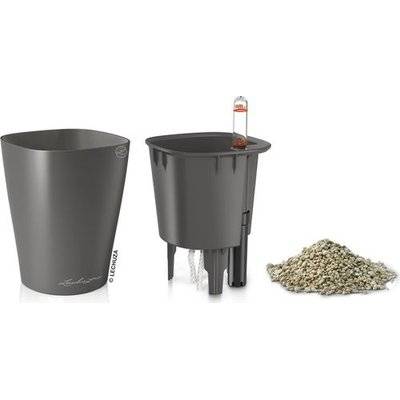 Lechuza Mini Deltini (Charcoal) - Charcoal