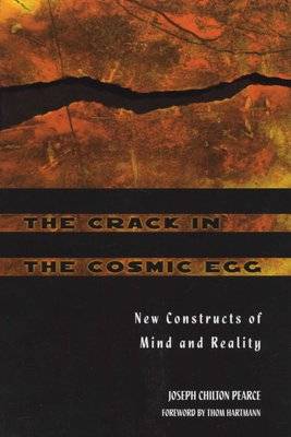 The Crack in the Cosmic Egg - New Constructs of Mind and Reality (Paperback, New edition)