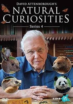 Natural Curiosities - Season 4 (DVD)