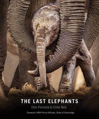 The Last Elephants (Paperback, Flexibound)