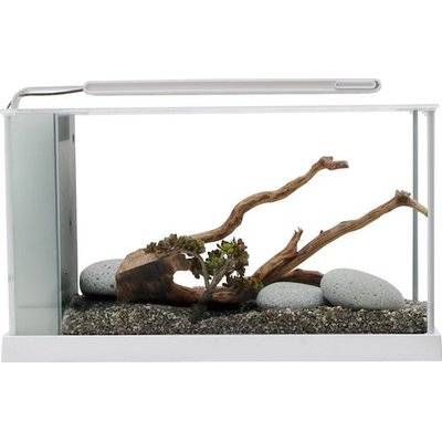 Fluval SPEC 4 - 19L Glass Aquarium Kit (White)