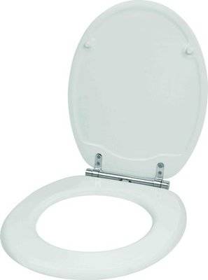 Wildberry Removeable Soft Closing Toilet Seat (White)