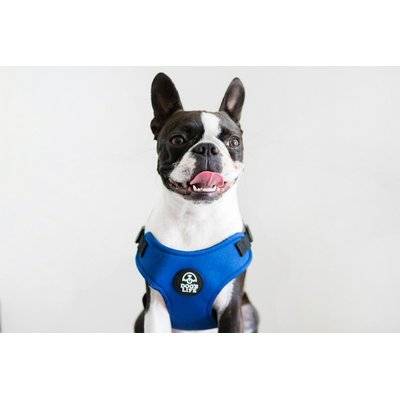 Dog's Life X Dog Neoprene Soft Harness (Yale Blue)
