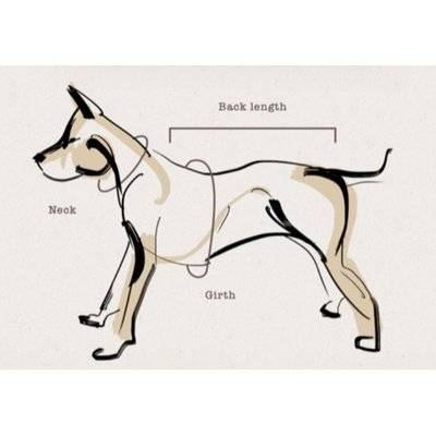 Dog's Life X Dog Neoprene Soft Harness (Yale Blue)