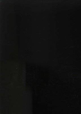 The Dovekeepers (Paperback)