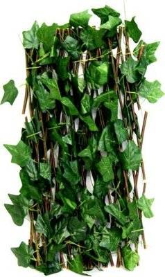 Fine Living Expandable Patio Trellis (70cm) Picture 2