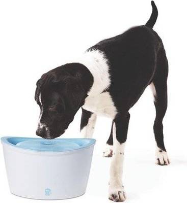 Dogit Design Fresh & Clear Drinking Fountain (6L)
