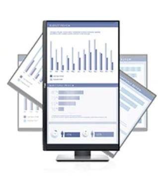 Dell P2419H 61 cm (24