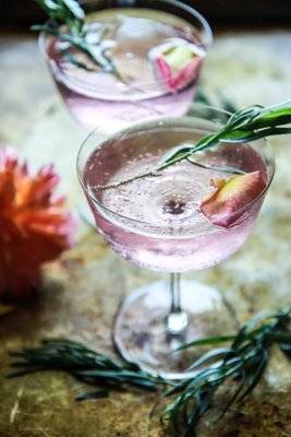 Gin Tribe Secco Infusion Pack (Mixed Box | Pack of 8)