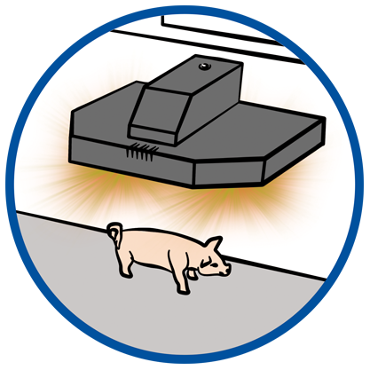 70132 featureimage illuminates (1 x 1.5V AAA battery required)