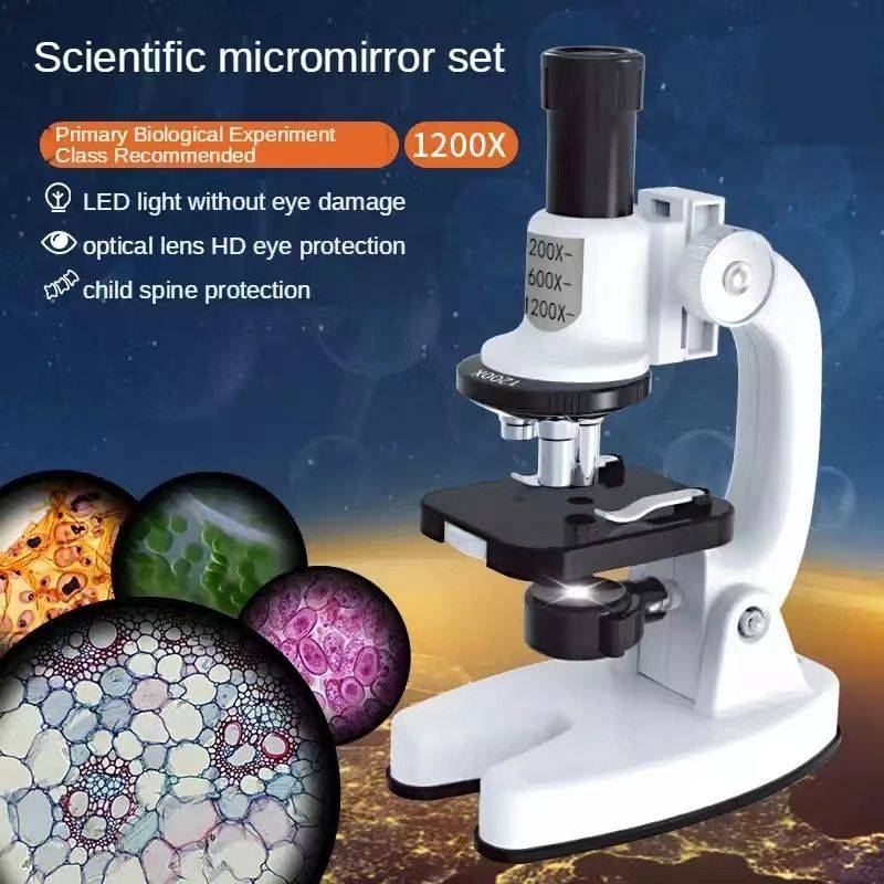 Children`s Science Biological 1200x Microscope Experiment