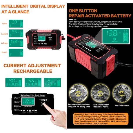 RJTianye 12V intelligent Pulse Repair Charger