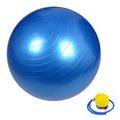 Fitness Ball with Pump