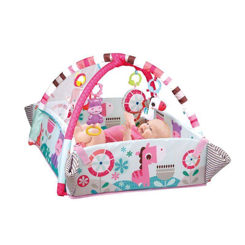 Activity 5-in-1 Gym Play Mat & Ball Pit - PINK