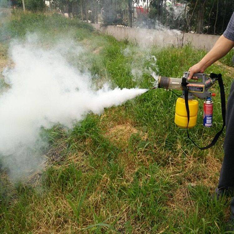 Techme 2L Mini Fogger Fog Machine for Pest Control