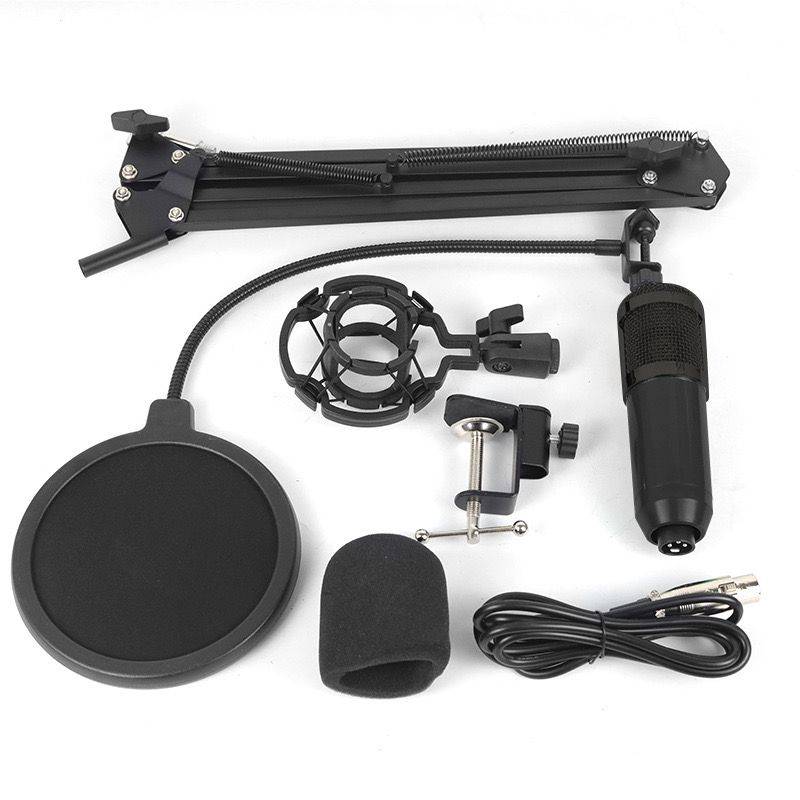 Professional Recording Microphone Stand - Complete Set