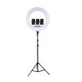 18` LED Changing Colour Ring Light with Stand (DISPLAY MODEL)