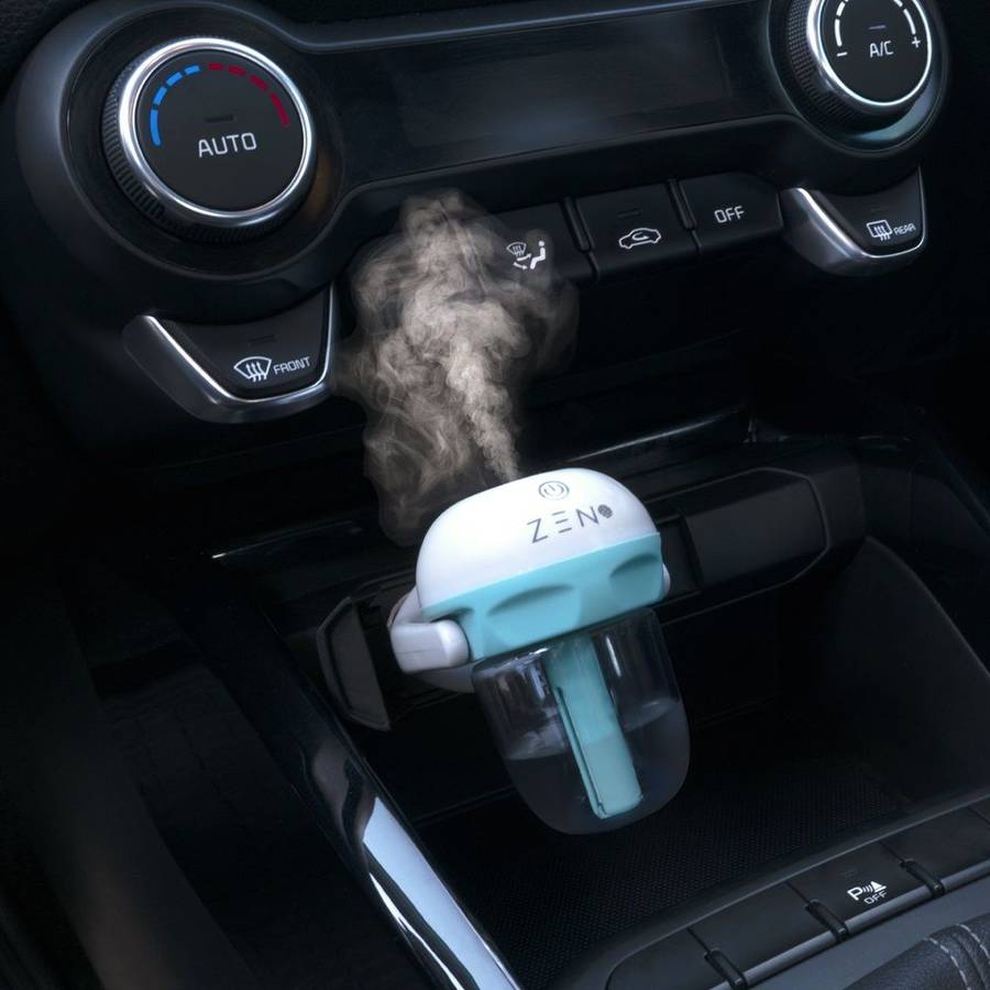 Zen car defuser