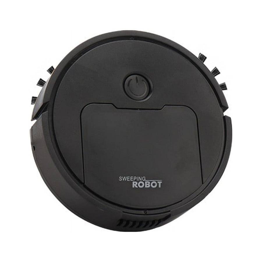 Intelligent Mute Sweeping Robot