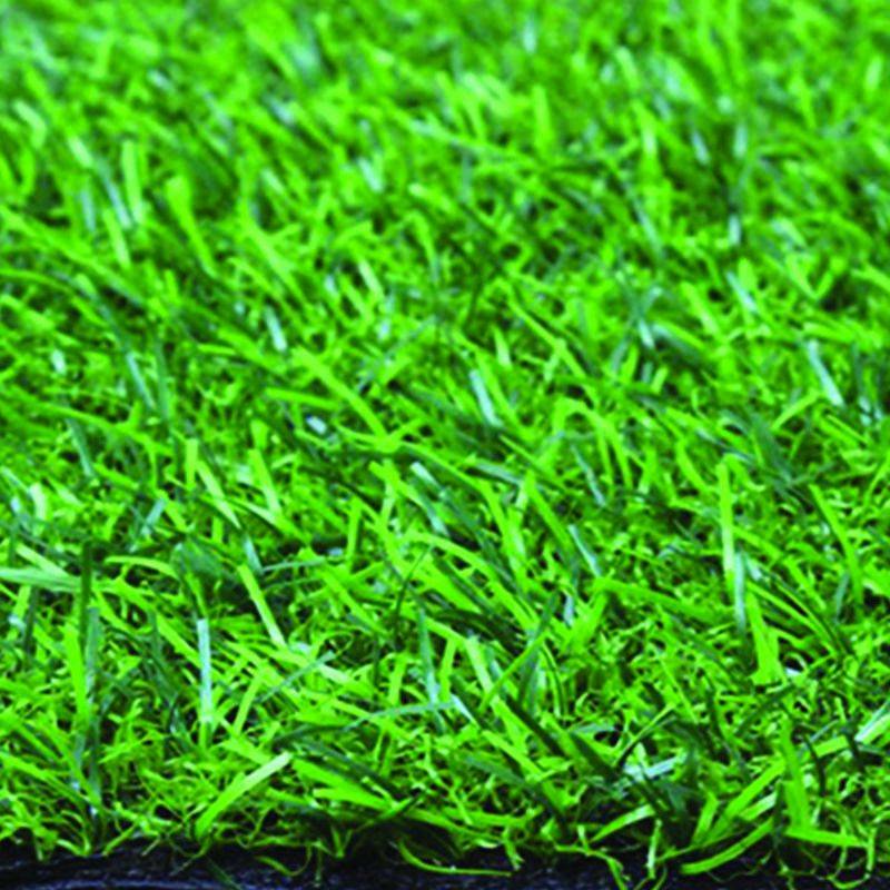 Jack Brown Luxury 2x6m Artificial Event Garden Grass/Turf - 20mm Thickness