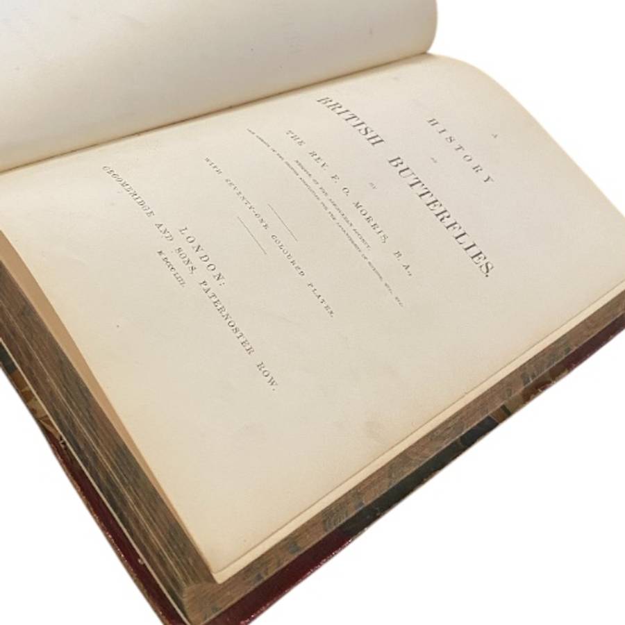 Morris's British Butterflies