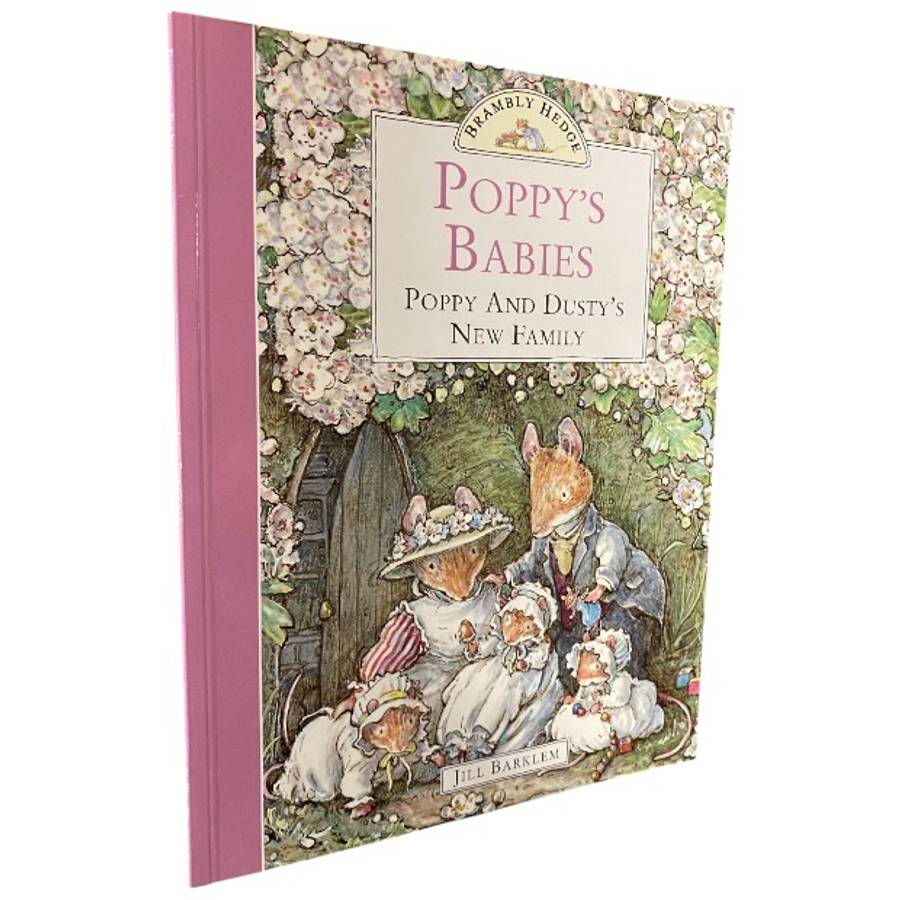 Brambly Hedge Poppy's Babies - Poppy and Dusty's New Family