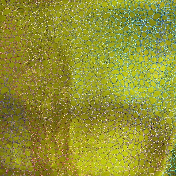 Holographic Crack Pattern Craft Vinyl Gold