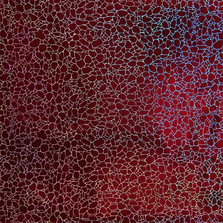 Holographic Crack Pattern Craft Vinyl Red