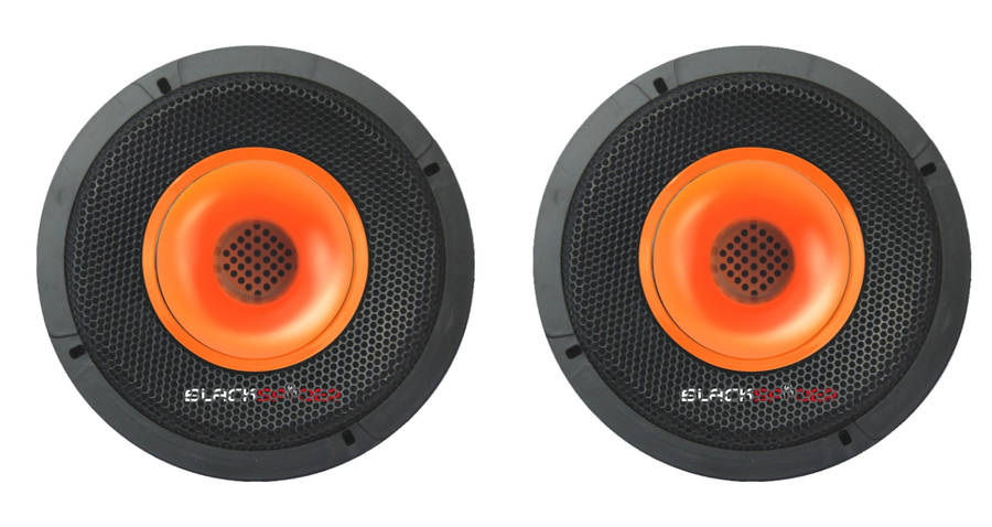 Blackspider Bs-S1695pro 6" 2000W Pro Speaker