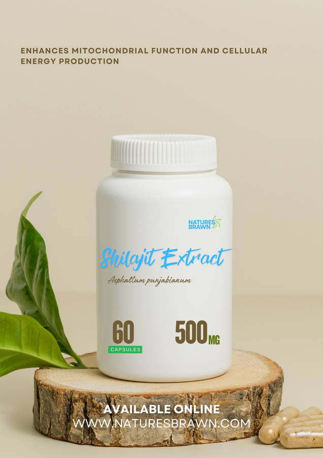 Shilajit Extract