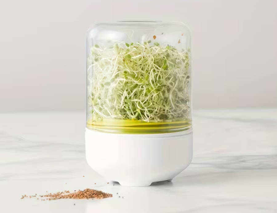 Countertop Seed Sprouter