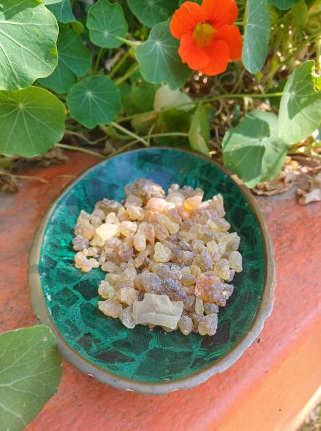 Myrrh from India. 20 grams