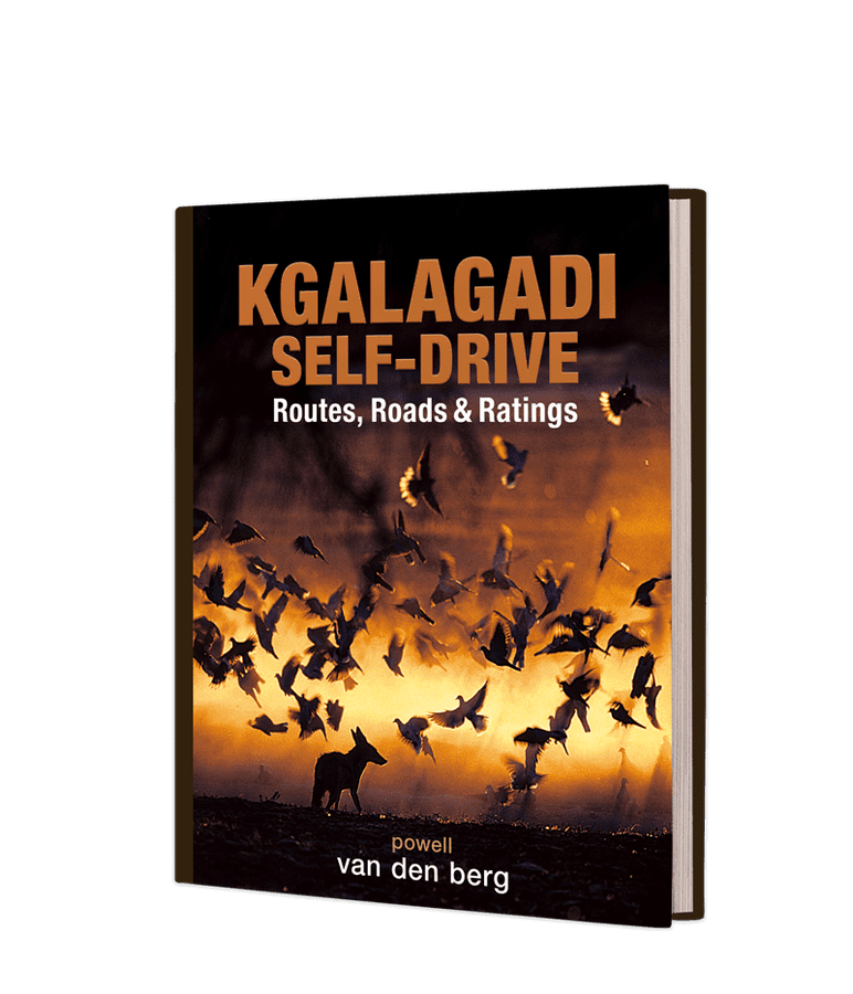 Kgalagadi Self-drive - by Heinrich Van Den Berg