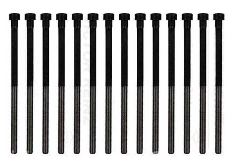 Volvo cyl head stretch bolt set (14) 201mm M11