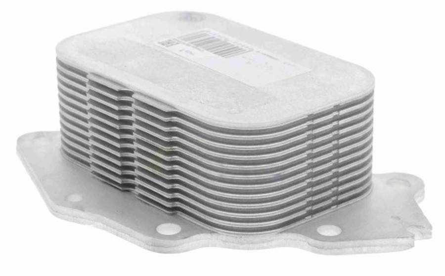 Mini oil cooler - engine 40mm HIGH
