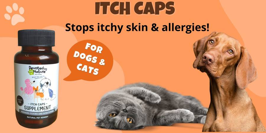 Devoted by Nature Itch Caps  Natural Relief for Your Furry Friend