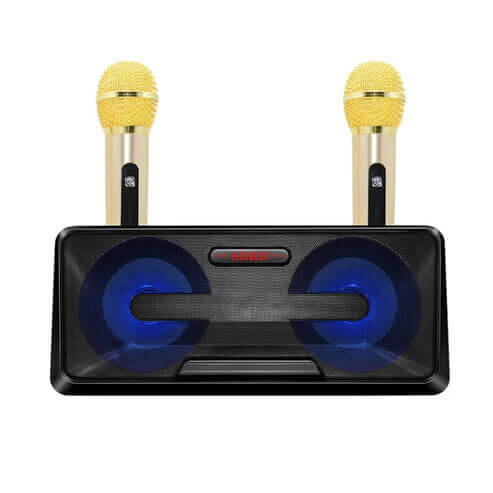 Wireless Live Dual Microphones with Bluetooth Speaker