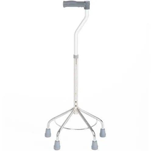 DC WALKING STICK QUAD