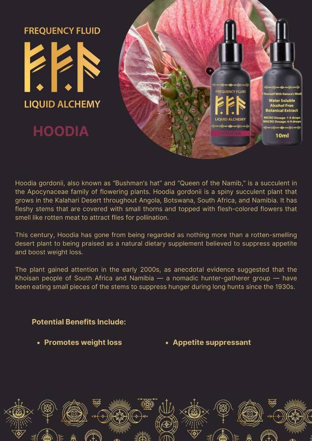 Frequency Fluid Liquid Alchemy Hoodia Botanical Extract 10ml