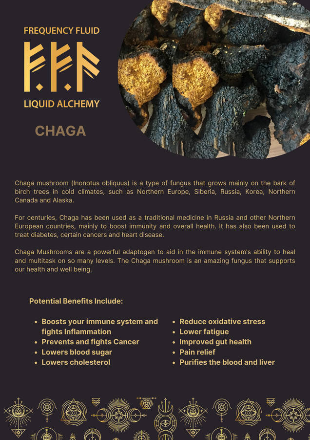 Frequency Fluid Liquid Alchemy Chaga Adaptogenic Botanical Extract 10ml