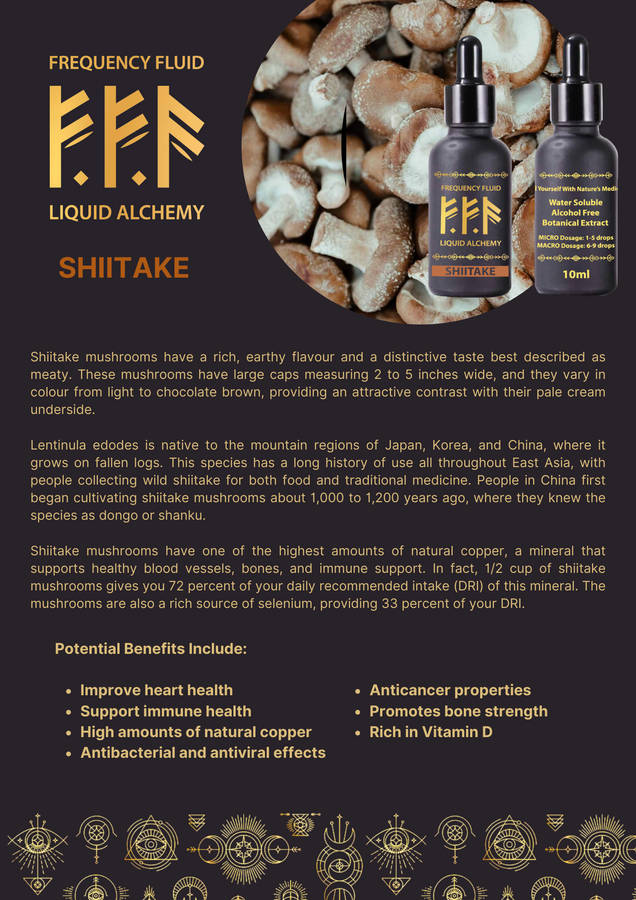 Frequency Fluid Liquid Alchemy Shiitake Adaptogenic Botanical Extract 10ml