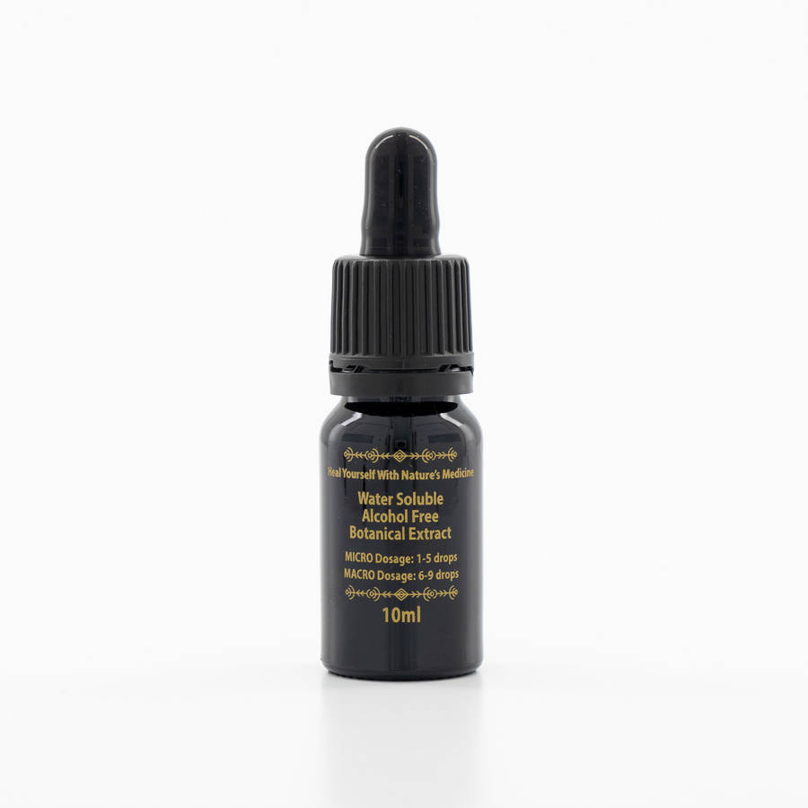 Frequency Fluid Liquid Alchemy Shiitake Adaptogenic Botanical Extract 10ml