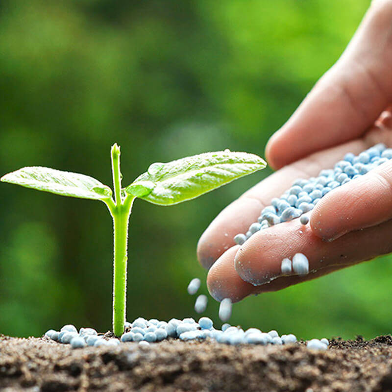 Palm Gardens 2-3-2 Fertilizer - 500g