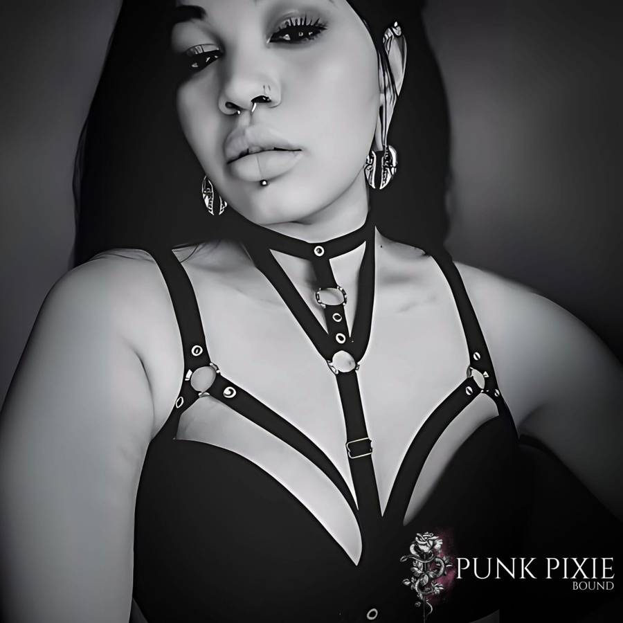 Enigma harness