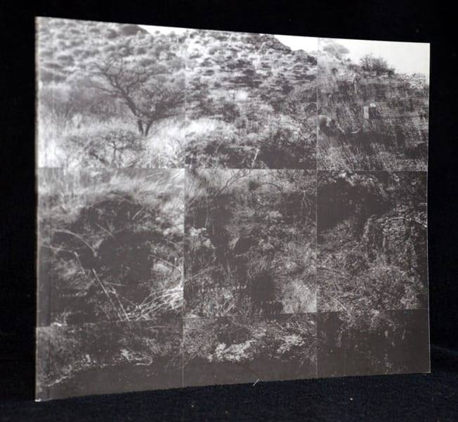 Francki Burger  Belonging